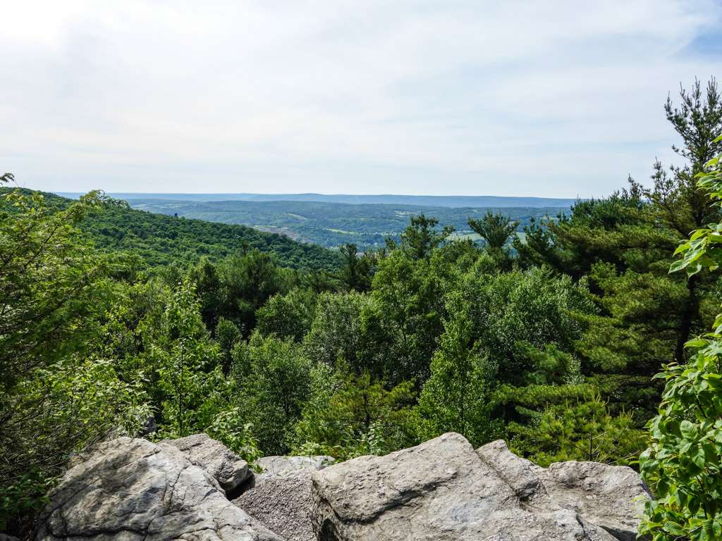 Weathering Knob | Appalachian Trail, Danielsville, PA 18038