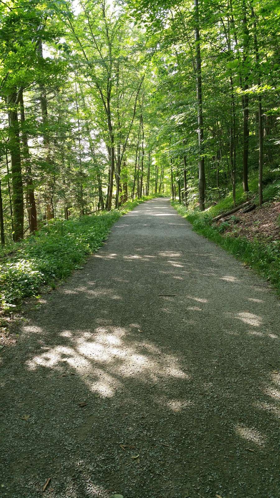 Lackawanna Trail At S Turnpike Rd O | Glenburn, PA 18411, USA