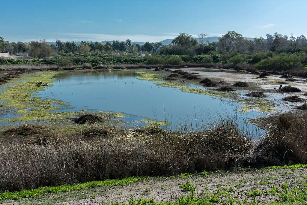 IRWD San Joaquin Marsh & Wildlife Sanctuary | 5 Riparian View, Irvine, CA 92612 | Phone: (949) 453-5300