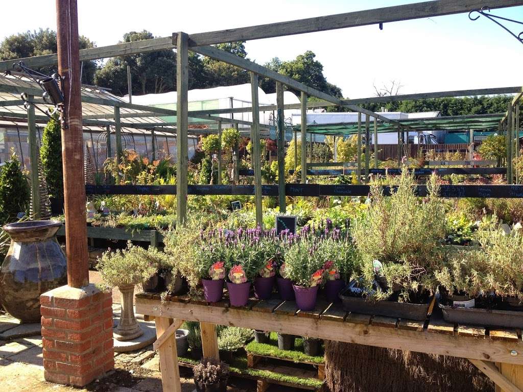 Bexley Garden Centre | 57 N Cray Rd, Bexley, Sidcup DA14 5EU, UK | Phone: 020 8309 1442