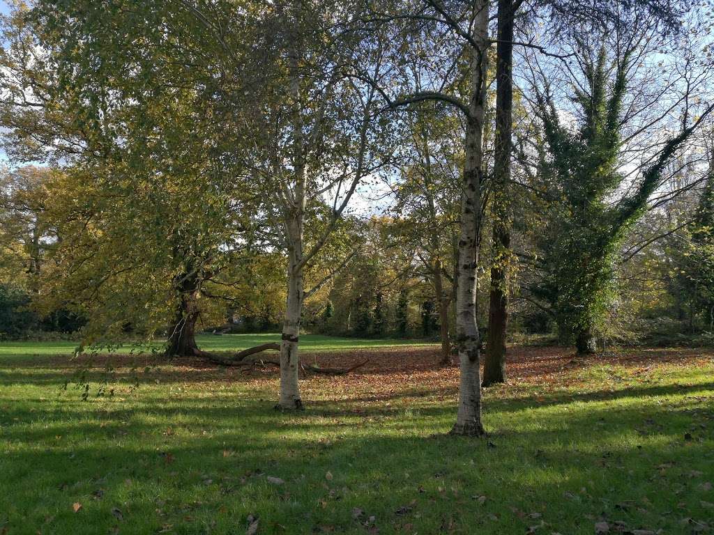 Beaulieu Heights Park | 17 Wilkinson Gardens, London SE25 6BN, UK