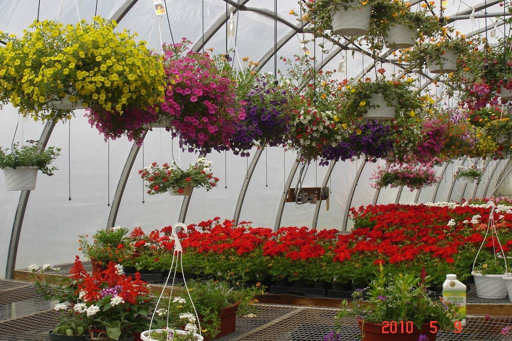 Sunny Garden Greenhouses | 2238 NY-9D, Wappingers Falls, NY 12590, USA | Phone: (845) 297-4400