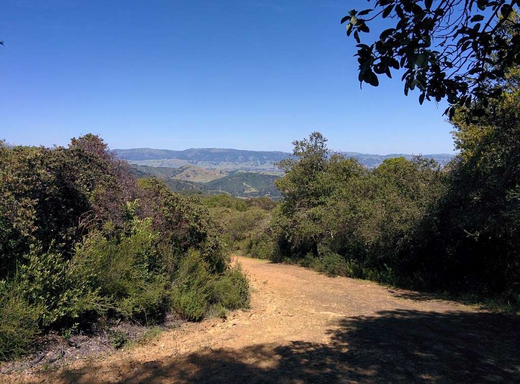 Mt Madonna County Park | 7850 Pole Line Rd, Watsonville, CA 95076, USA | Phone: (408) 842-2341