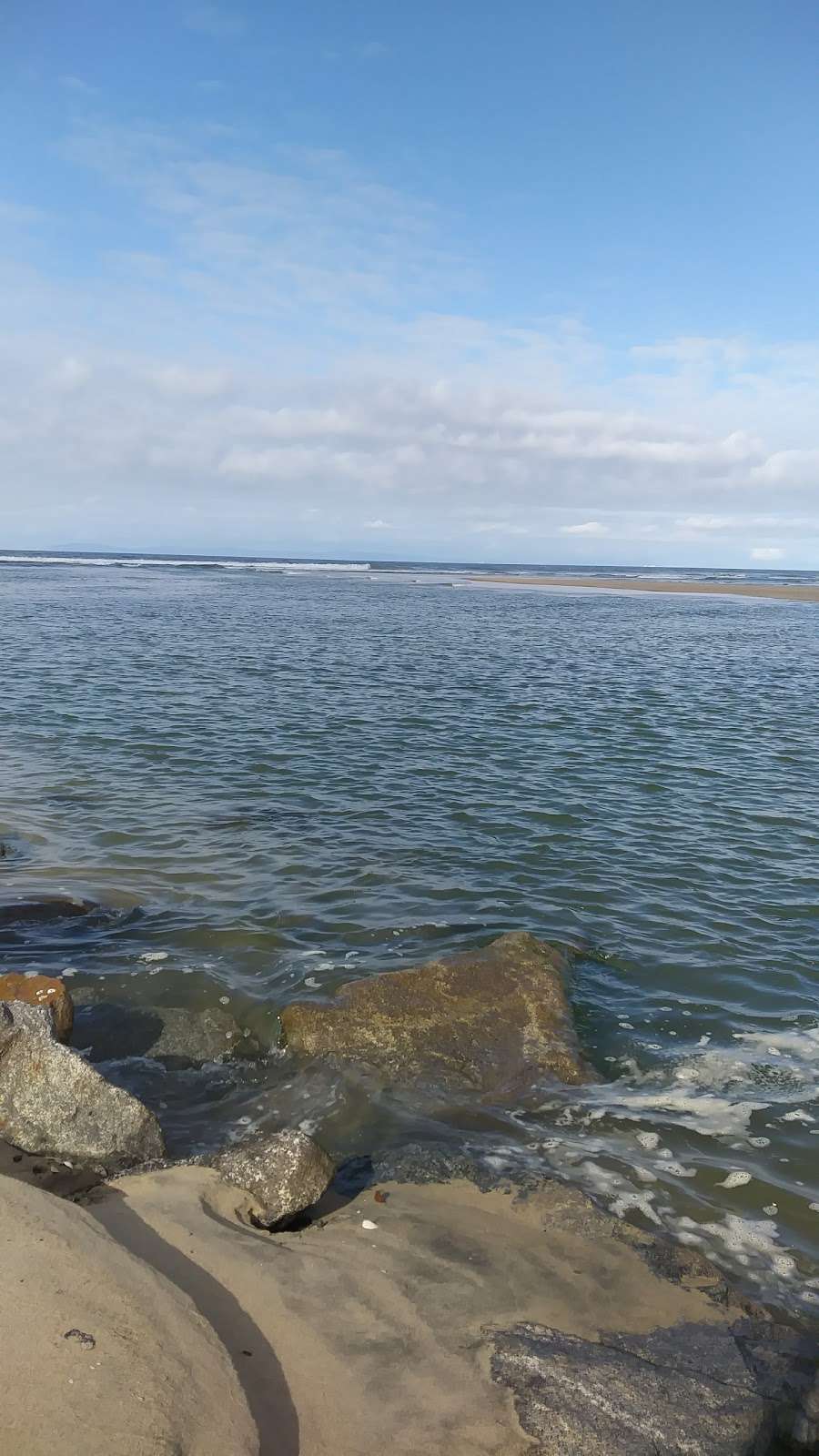 Least Tern Natural Preserve | 33°3758.6"N 117°5740., 18309 Brookhurst St, Fountain Valley, CA 92708