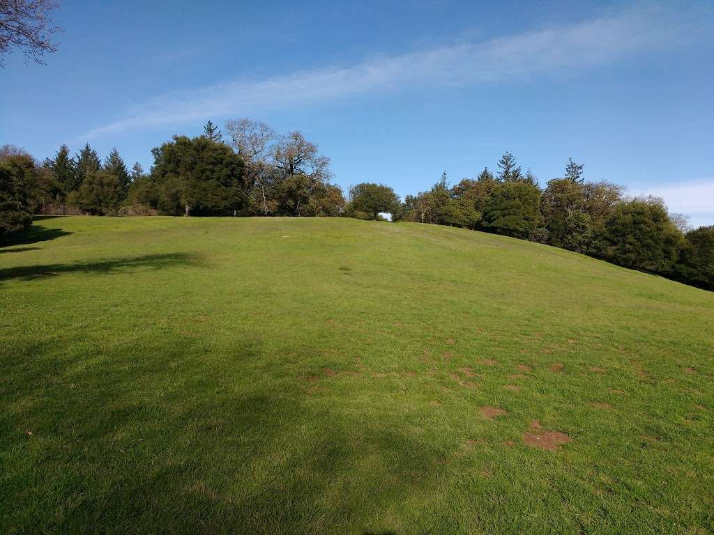 The Meadows | Intersection of Meadow Trail and Wunderlich Park, Bear Gulch Trail, Woodside, CA 94062, USA