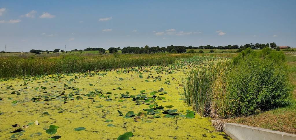 John Bunker Sands Wetland Center | 655 Martin Ln, Seagoville, TX 75159, USA | Phone: (972) 474-9100