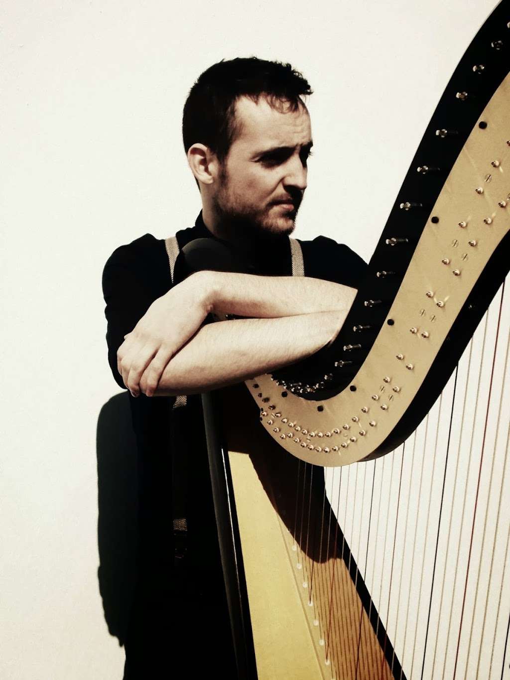 Harp Lessons - London | 17 Pond Cl, London SE3 0SH, UK | Phone: 07561 062861