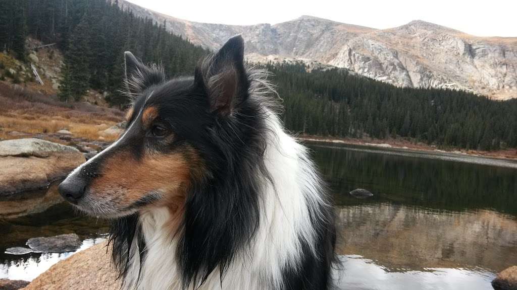 Beartrack Lakes | Evergreen, CO 80439, USA