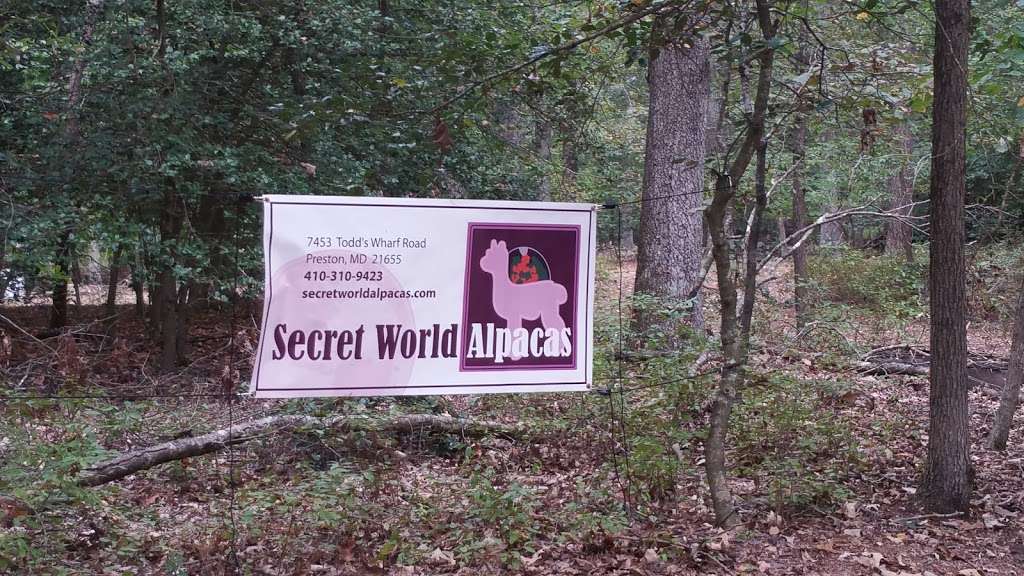 Secret World Alpacas | 7453 Todds Wharf Rd, Preston, MD 21655, USA | Phone: (410) 310-9423