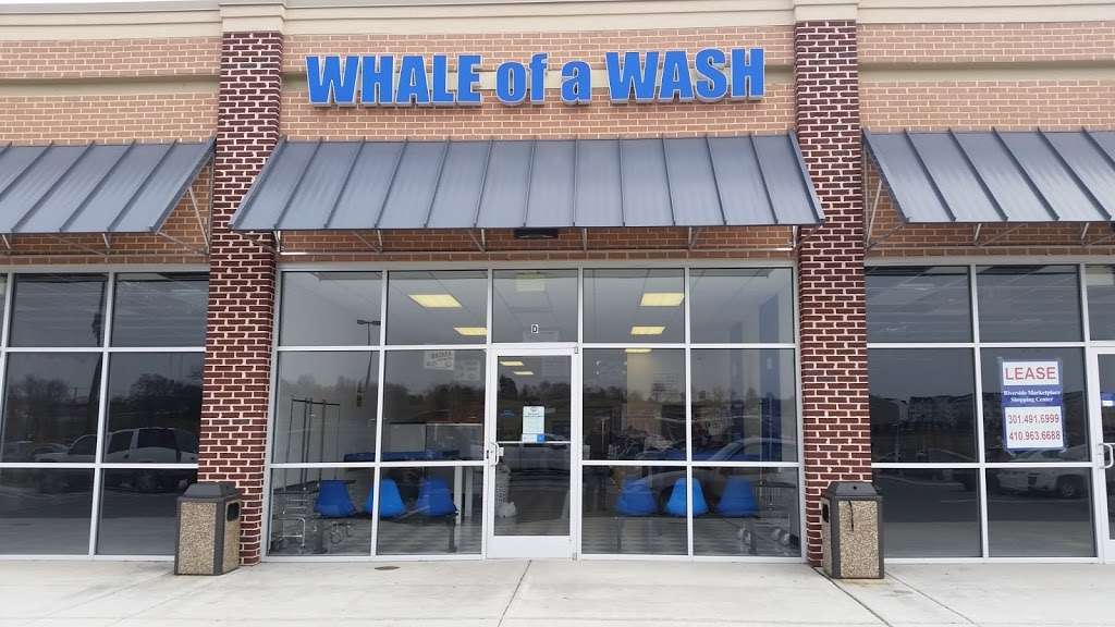 Whale of a Wash | 48 Worchester Dr, Falling Waters, WV 25419, USA | Phone: (304) 876-0088