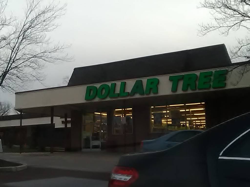 Dollar Tree | 2826 Audubon Village Dr, Audubon, PA 19403, USA | Phone: (610) 728-5501