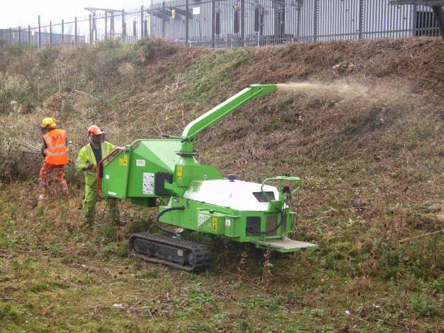 Japanese Knotweed Group | Rose Cottage, Birchwood Lane, Chaldon, Caterham CR3 5DQ, UK | Phone: 01883 336602