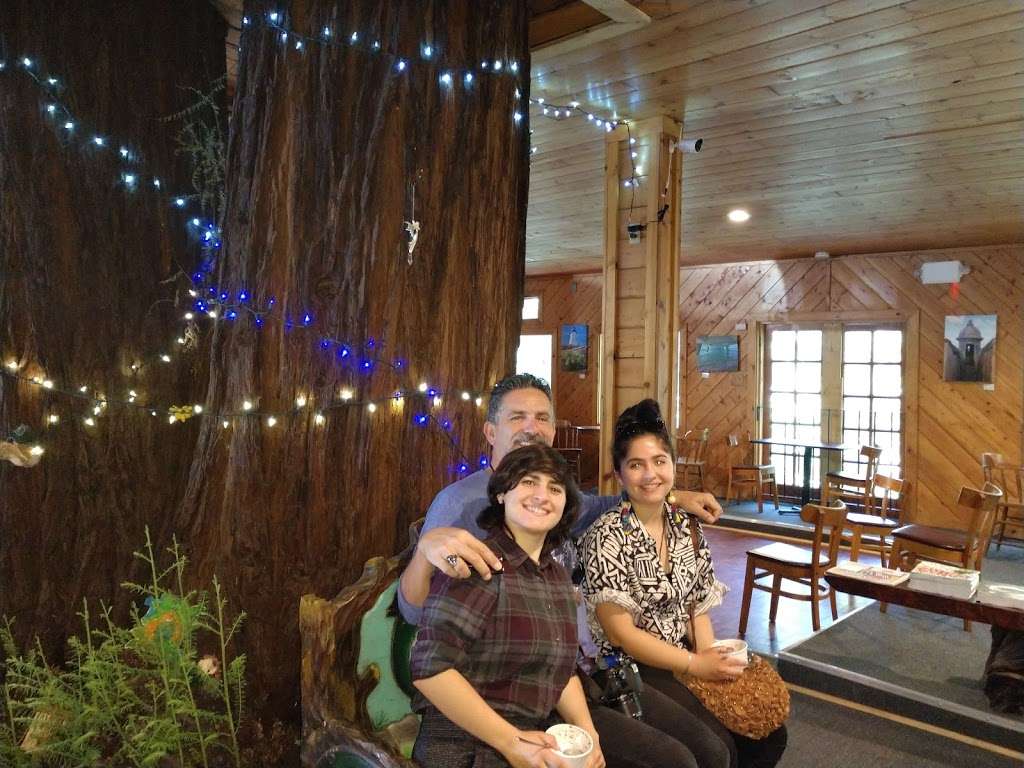 Tree House Cafe | 13266 CA-9, Boulder Creek, CA 95006, USA | Phone: (831) 610-8912