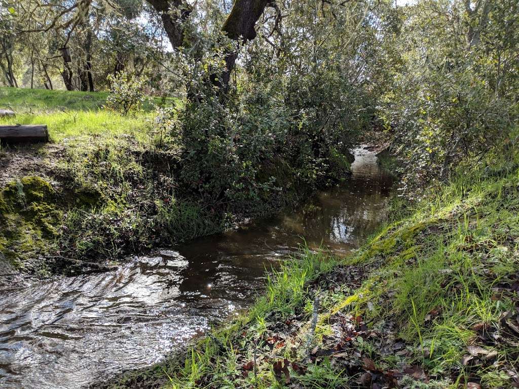 Pearson-Arastradero Preserve | 1530 Arastradero Rd, Palo Alto, CA 94304, USA | Phone: (650) 329-2423