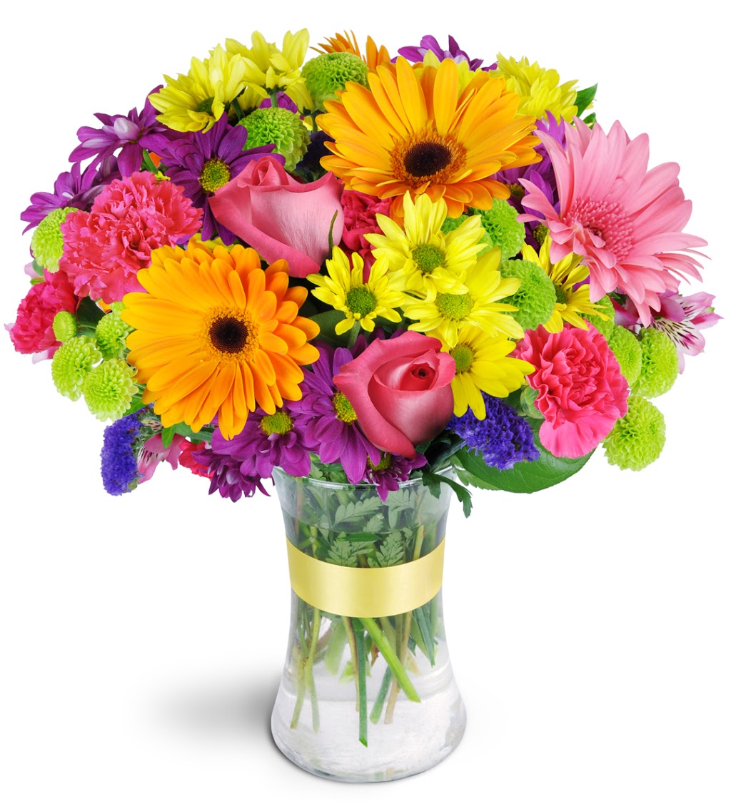 Veros Flowers | 2551 U.S. Highway 17-92 North, Haines City, FL 33844, USA | Phone: (863) 419-9190