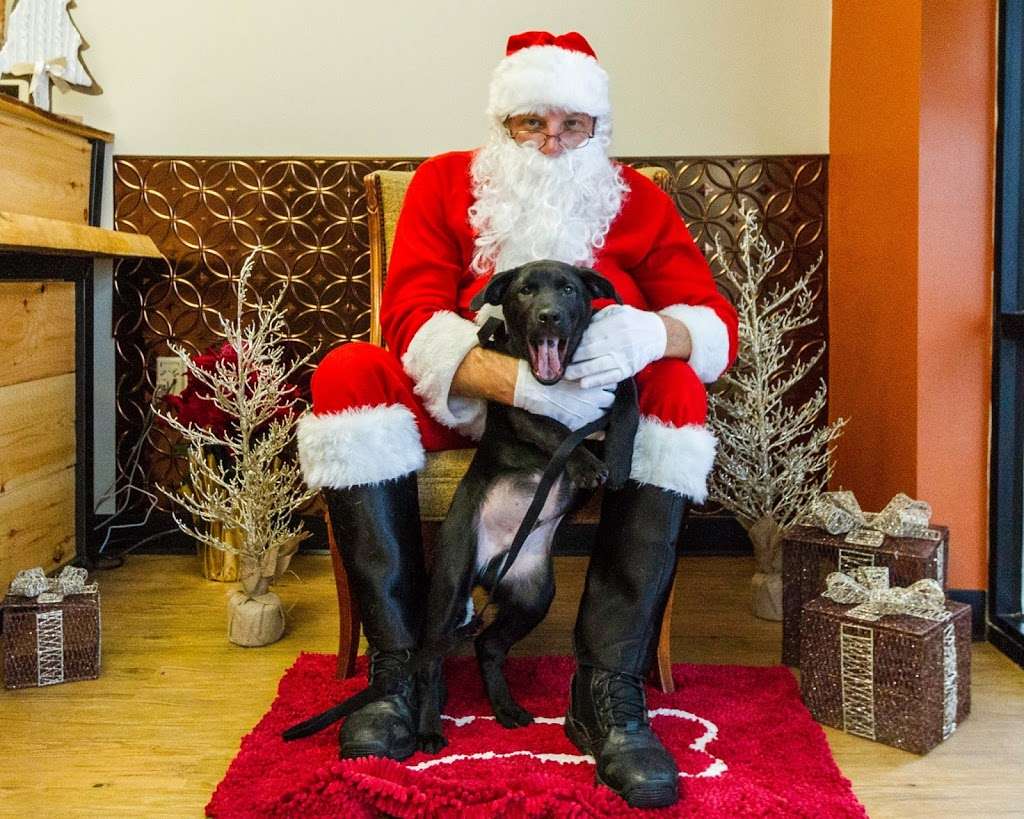 EarthWise Pet Supply & Grooming - Voorhees | 154 NJ-73, Voorhees Township, NJ 08043, USA | Phone: (856) 767-7387