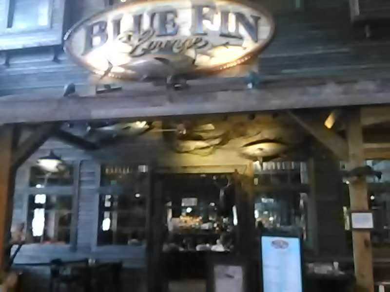 Blue Fin Lounge | 1 Bass Pro Dr, Foxborough, MA 02035, USA | Phone: (508) 216-2700