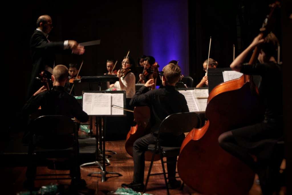 Sunflower Chamber Orchestra | 1535 Park Ave, River Forest, IL 60305, USA | Phone: (773) 203-2816