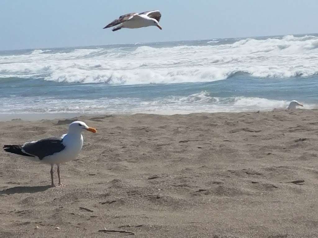 Salmon Creek Beach | California 94923, USA