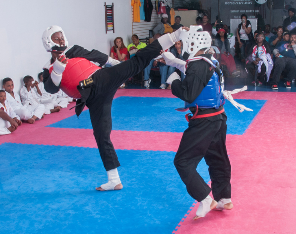 Red Dragon Martial Arts Academy | 5105 Sauk Trail, Richton Park, IL 60471, USA | Phone: (708) 747-5750