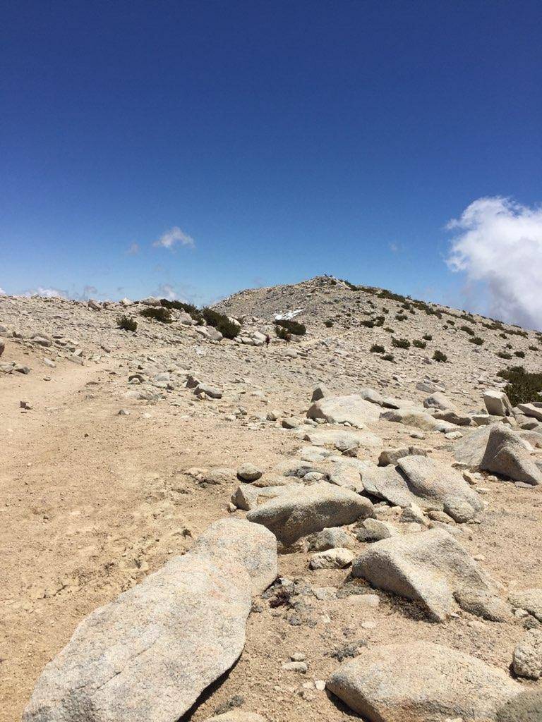 San Gorgonio Wilderness | Angelus Oaks, CA 92305, USA | Phone: (909) 382-2882