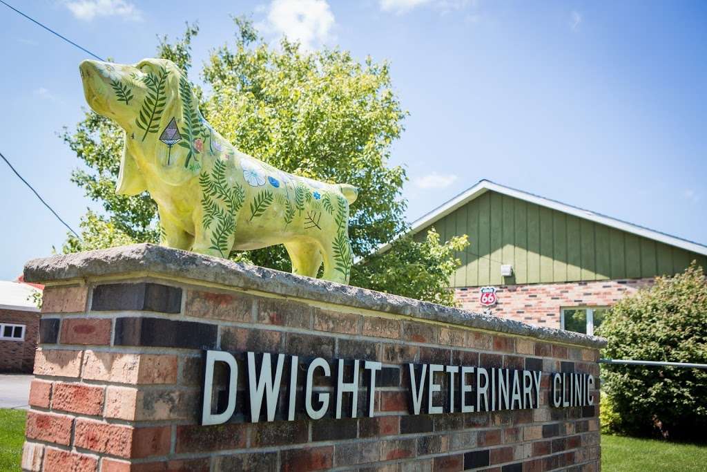 Dwight Veterinary Clinic | 305 S Old Rte 66, Dwight, IL 60420, USA | Phone: (815) 584-2732