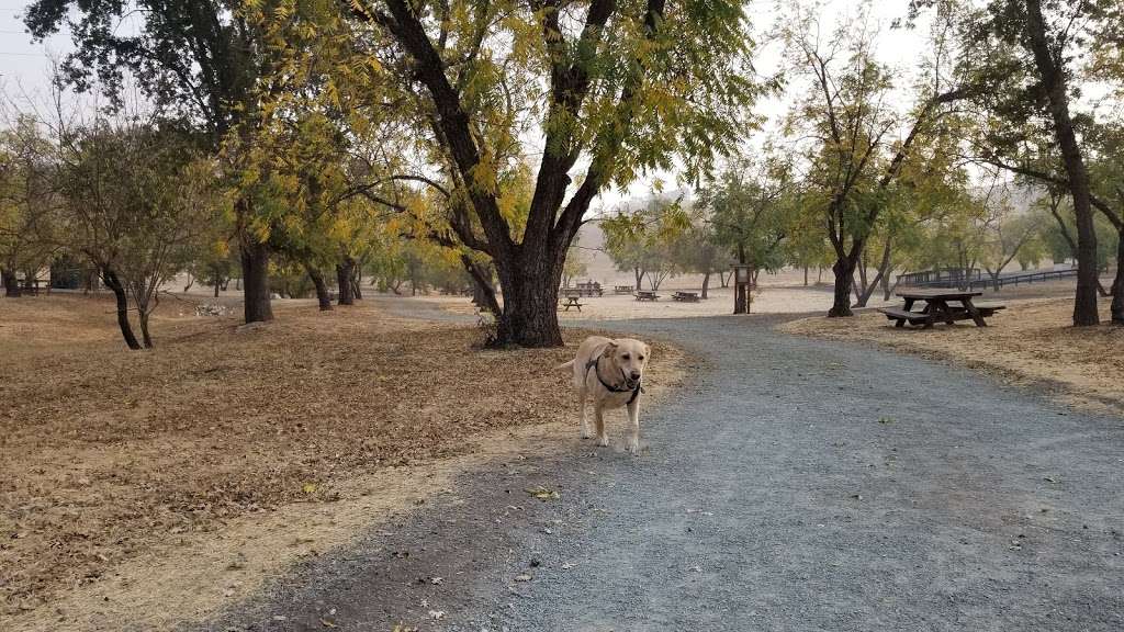 Sugarloaf Open Space | 2161 Youngs Valley Rd, Walnut Creek, CA 94596, USA | Phone: (925) 943-5800