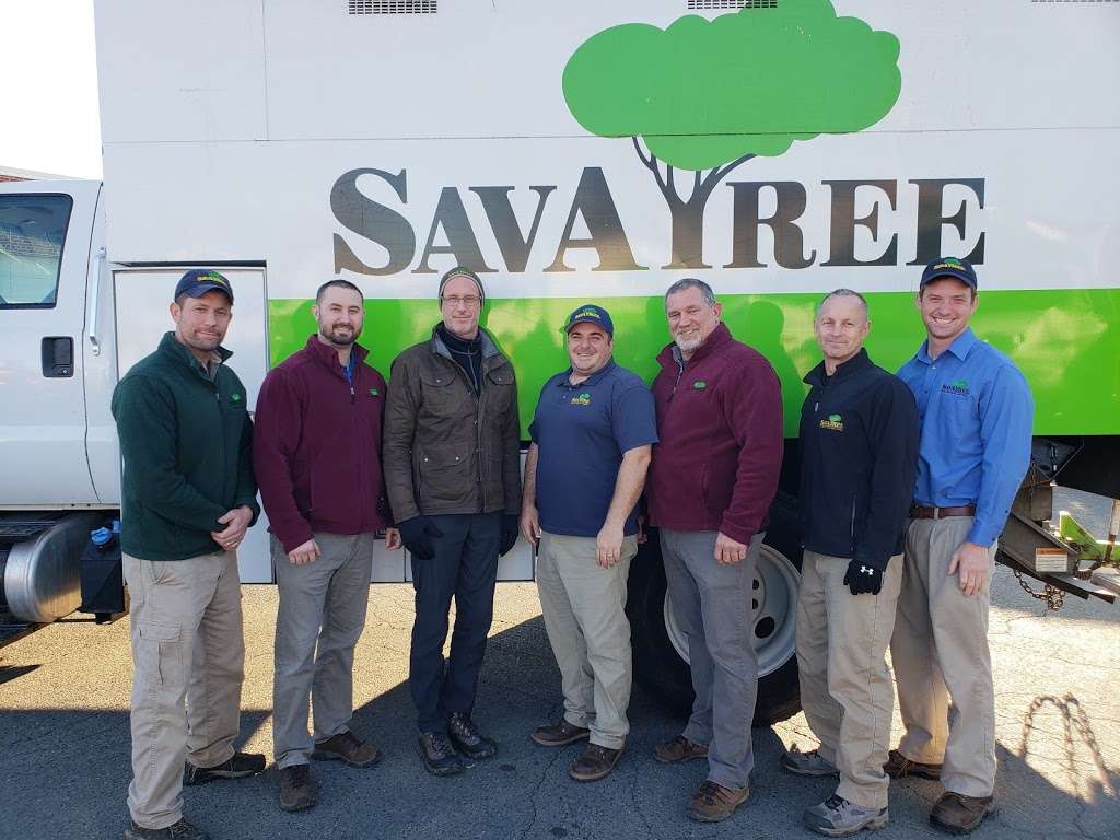 SavATree - Tree Service & Lawn Care | 5330 Port Royal Rd Suite A, Springfield, VA 22151, USA | Phone: (571) 282-2500