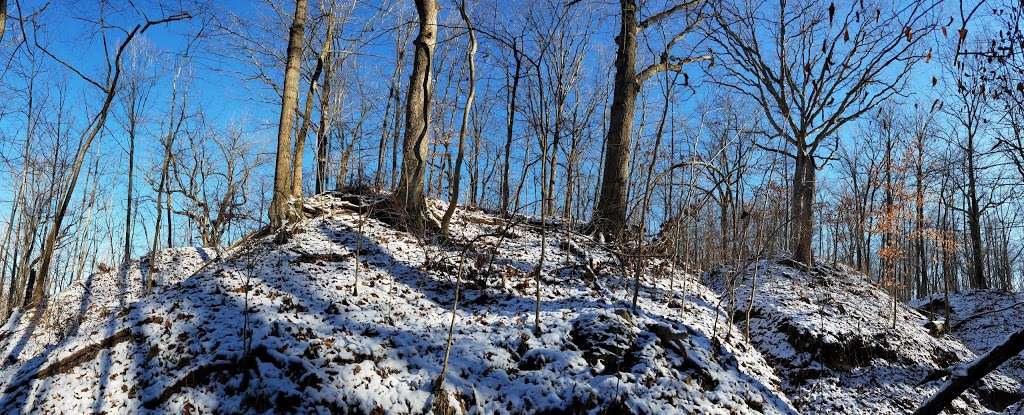 Scott Starling Nature Preserve (West trailhead) | 8521-8899 Wilson Rd, Indianapolis, IN 46278