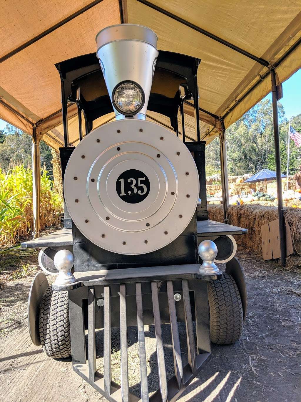Aratas Pumpkin Farm | 185 Verde Rd, Half Moon Bay, CA 94019, USA | Phone: (650) 726-7548