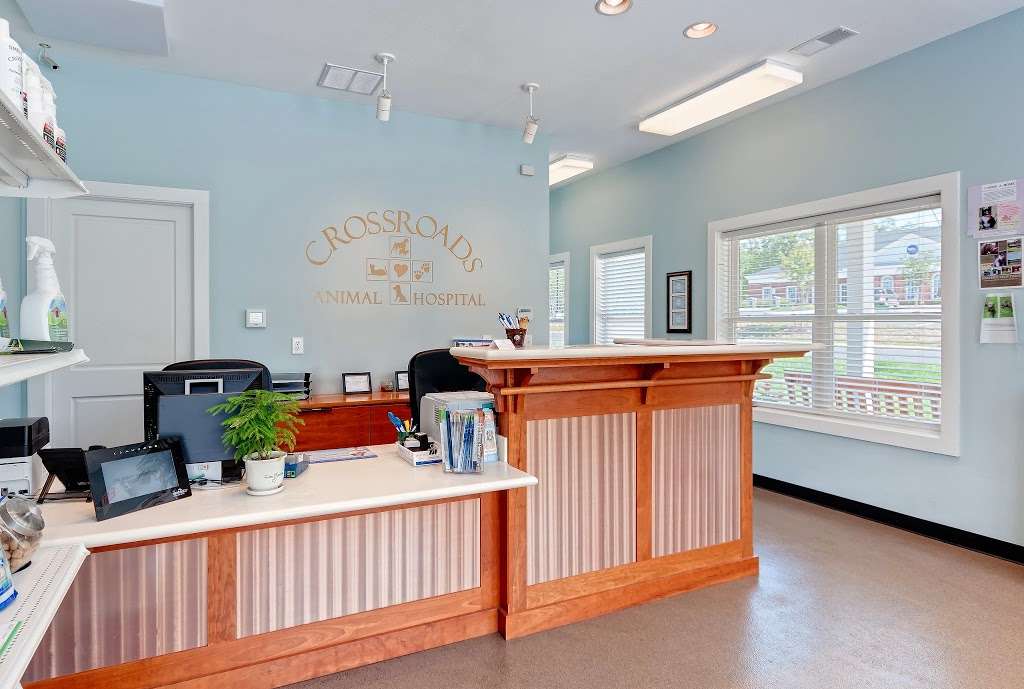 Crossroads Animal Hospital | 65 Jefferson Ct, Zion Crossroads, VA 22942, USA | Phone: (540) 832-1751