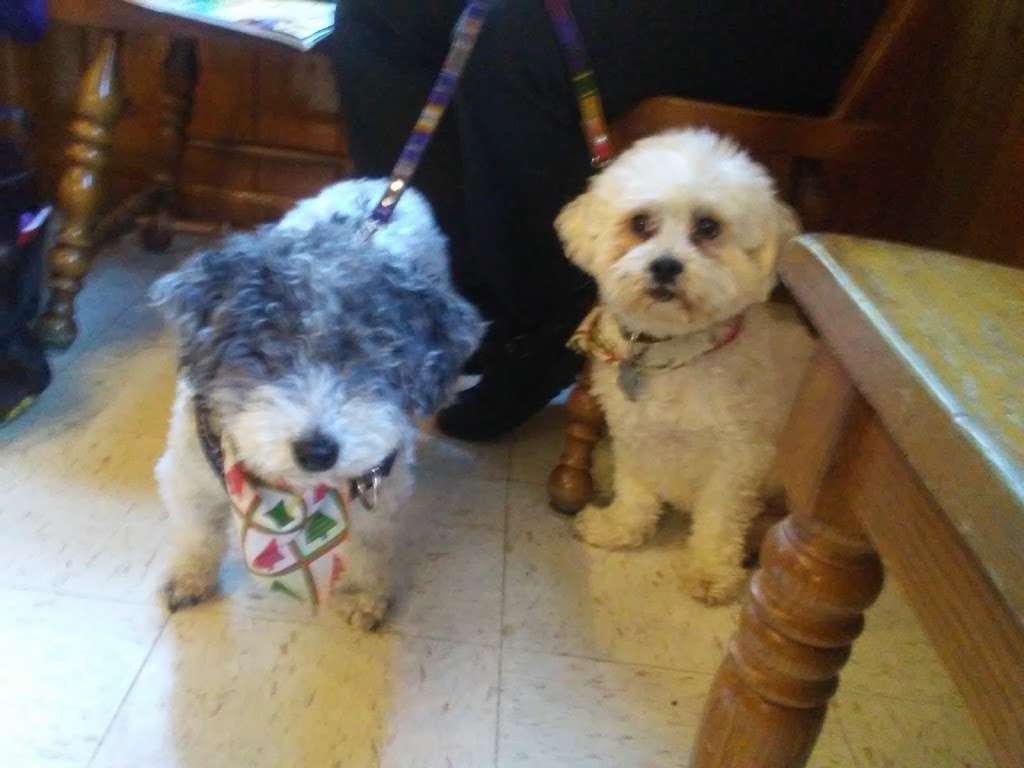 Framingham Animal Hospital Inc | 1415 Edgell Rd, Framingham, MA 01701, USA | Phone: (508) 877-0900