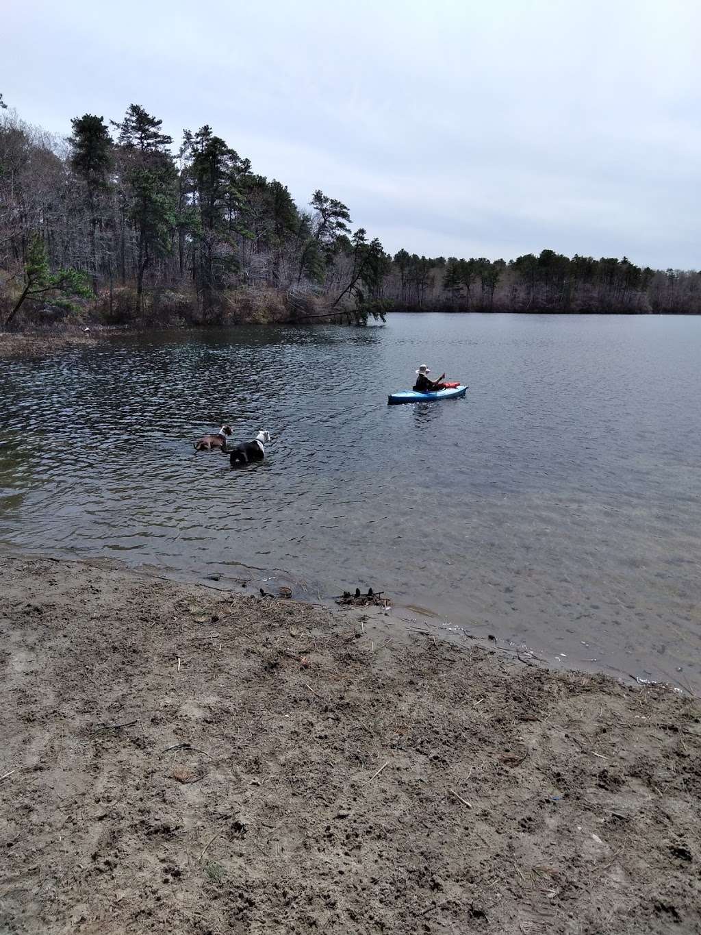 Little Island Pond | Plymouth, MA 02360, USA