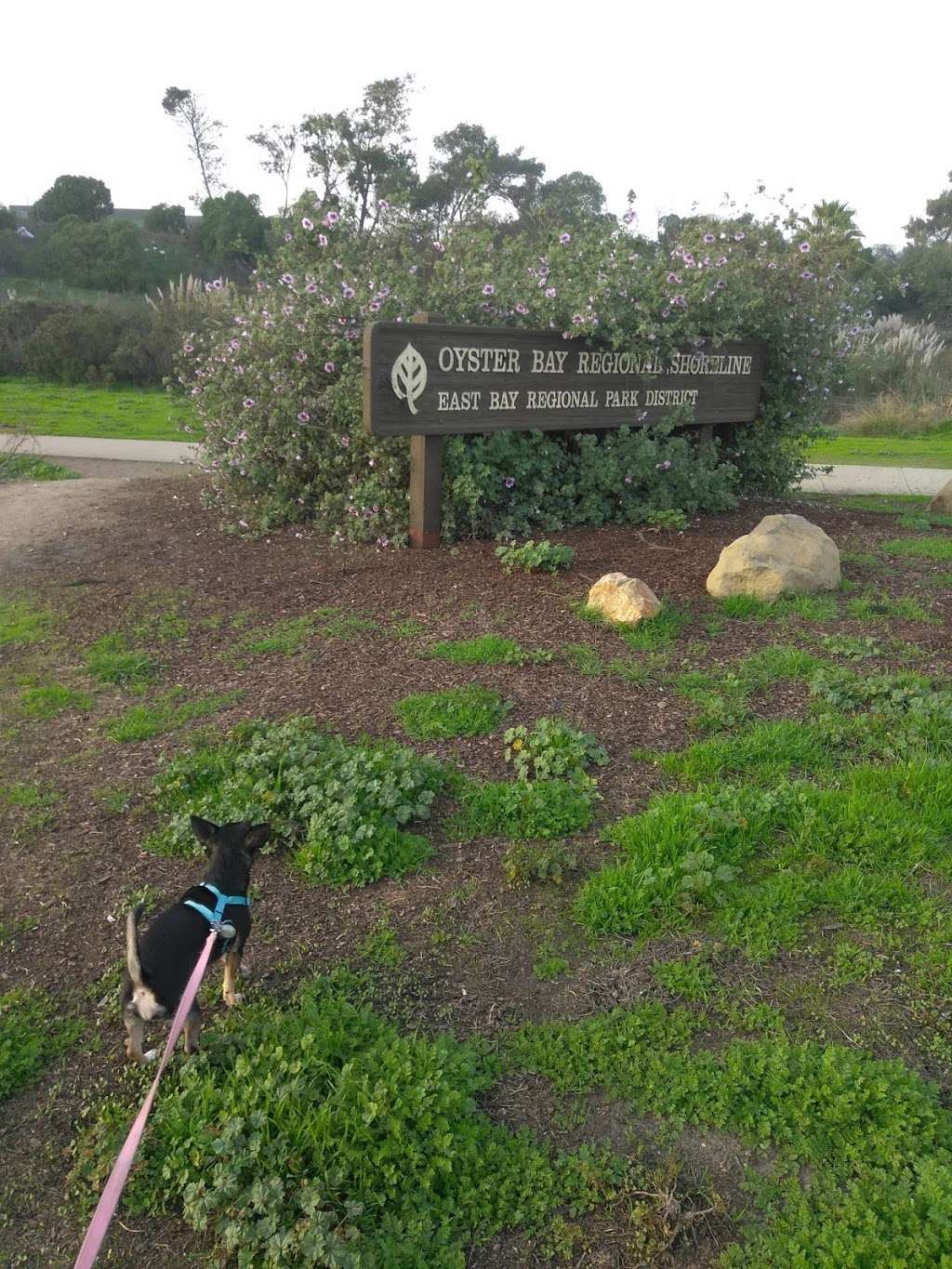 Oyster Bay Regional Shoreline Park | San Leandro, CA 94577