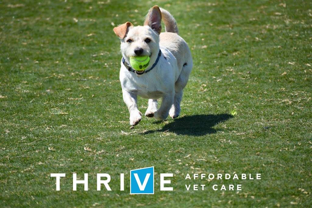 THRIVE Affordable Vet Care | 10245 North Fwy Suite 150, Houston, TX 77037 | Phone: (832) 648-2875