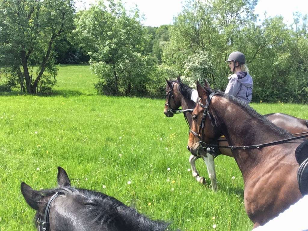 Stanmore Riding School | Warren La, Stanmore HA7 4LE, UK | Phone: 07852 142704