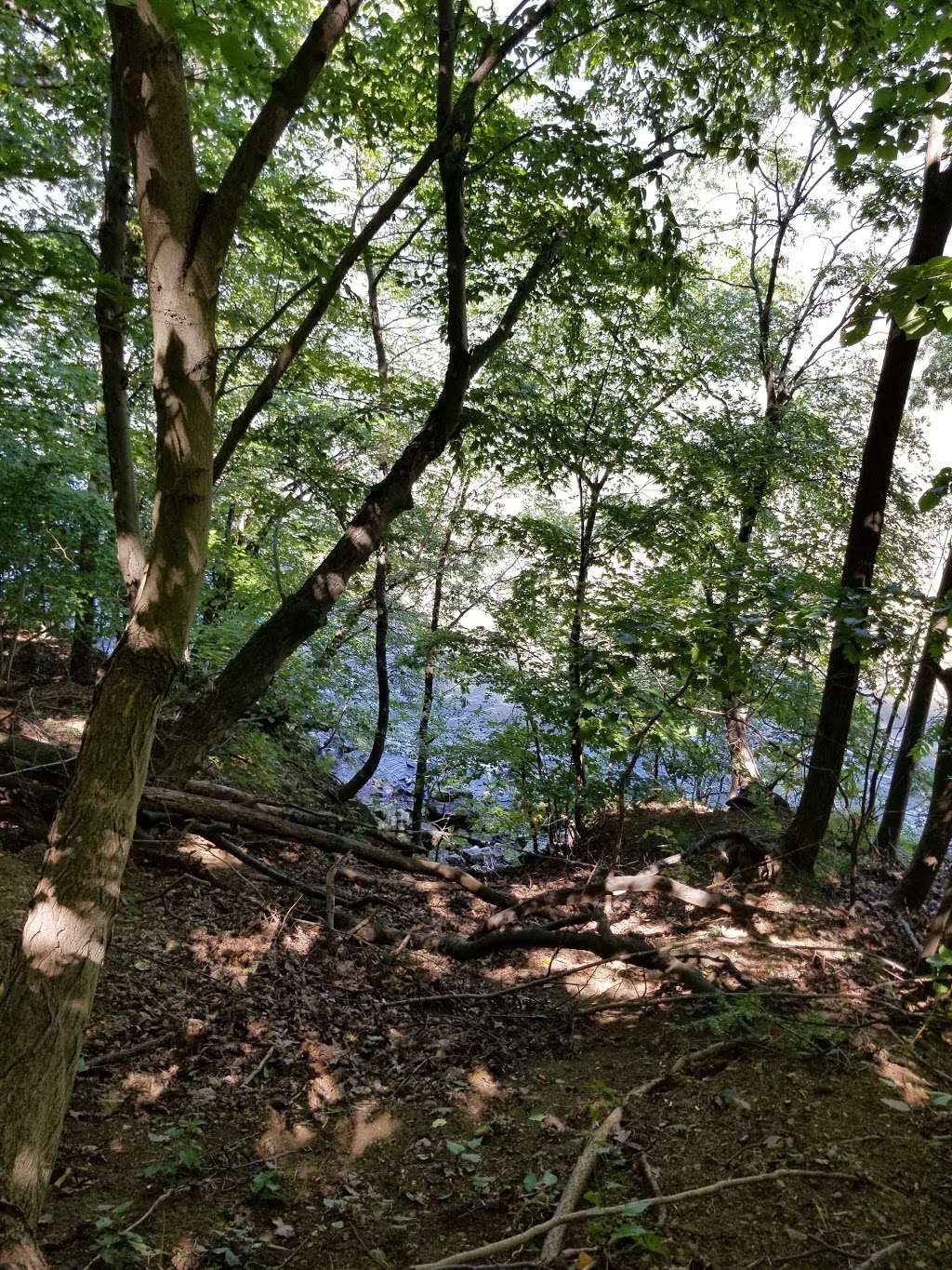 Hudson River Greenway Trail | Unnamed Road, Congers, NY 10920, USA