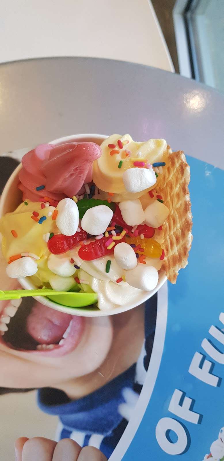 Menchies Frozen Yogurt | 20440 US-59 D-2, Humble, TX 77338, USA | Phone: (281) 570-2954