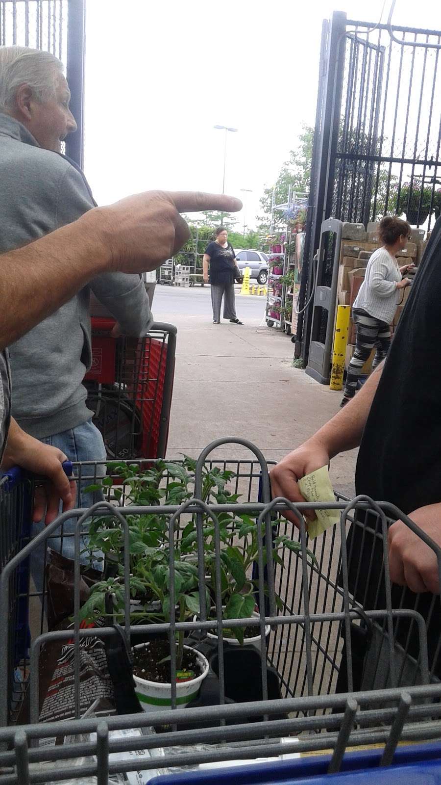 Lowes Garden Center | 2630 N Narragansett Ave, Chicago, IL 60639, USA | Phone: (773) 413-5120