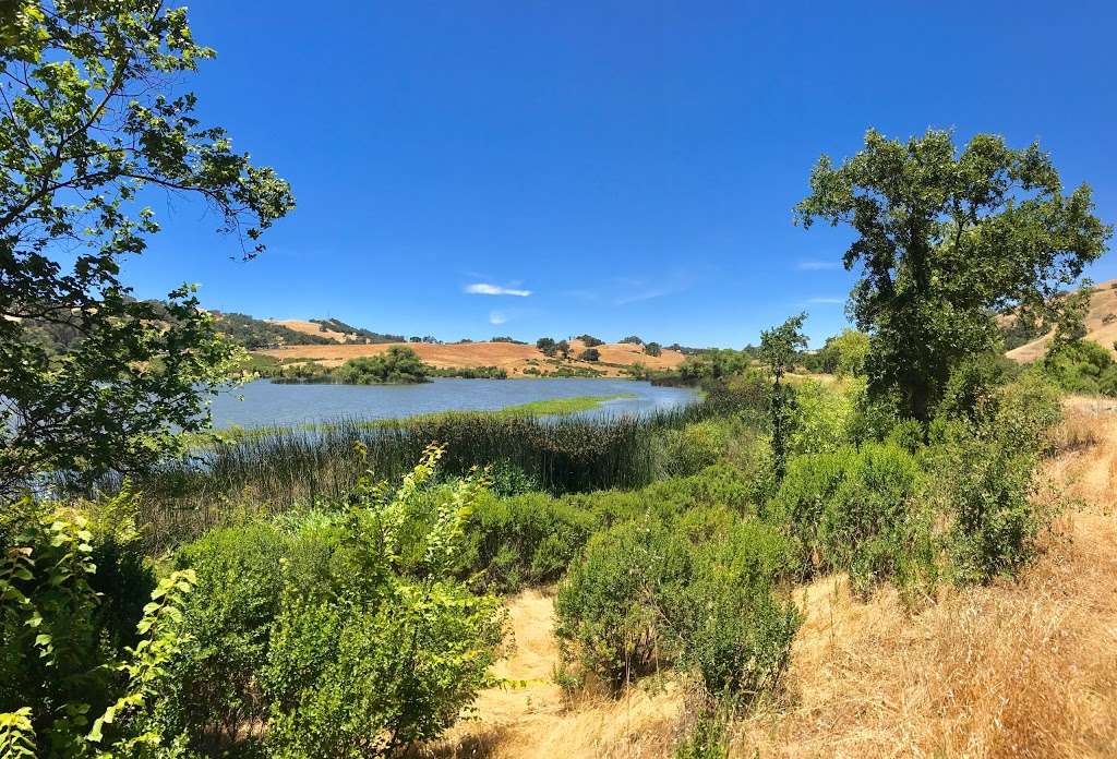 Grant Lake | Yerba Buena Trail, San Jose, CA 95127, USA