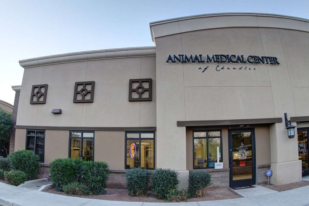 Animal Medical Center of Chandler | 270 W Chandler Heights Rd #3, Chandler, AZ 85248, USA | Phone: (480) 339-0406