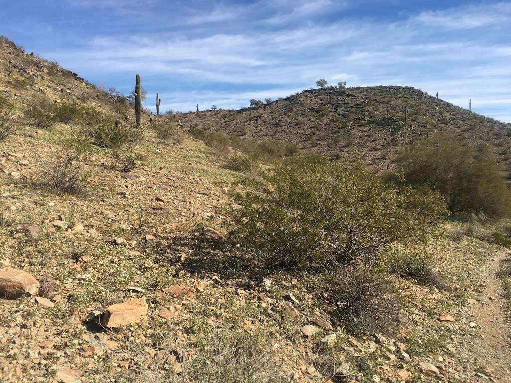Mountain Park Ranch Hiking Trail | 2838 E Ray Rd, Phoenix, AZ 85048, USA