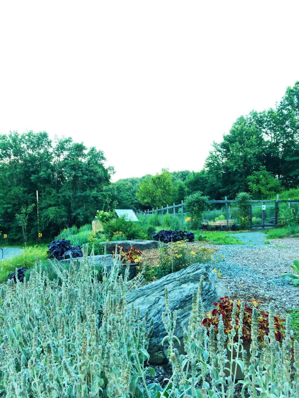 Tusten Heritage Community Garden | De Mauro Ln, Narrowsburg, NY 12764, USA | Phone: (845) 252-3722