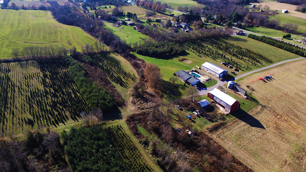 3G's Tree Farm 1991 St, Dover, PA 17315