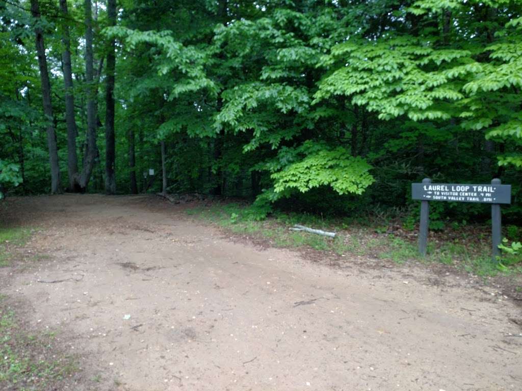 Laurel Loop Trail | Forest Ln, Woodbridge, VA 22191, USA