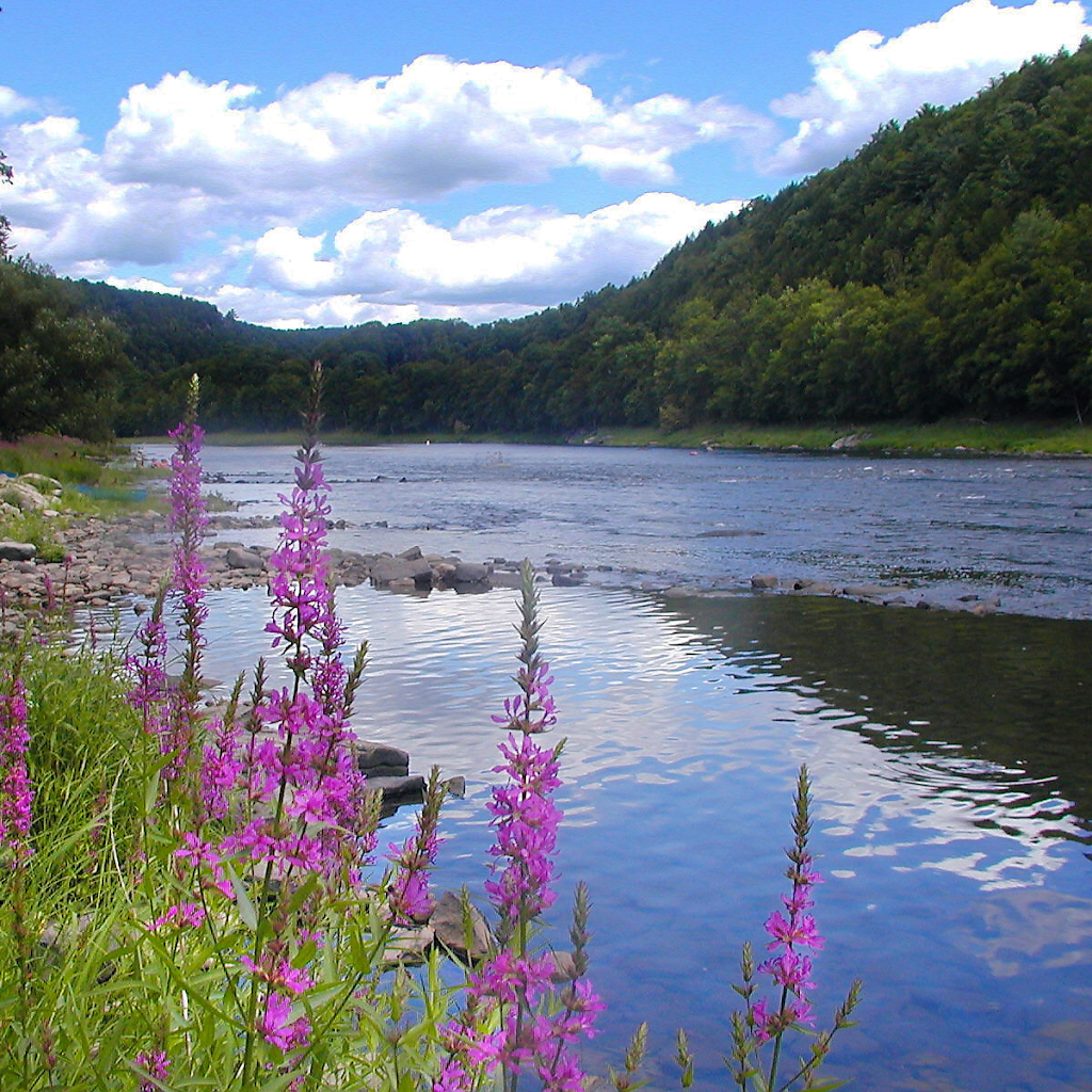 Indian Head Canoes | 1138 Delaware Dr, Matamoras, PA 18336, USA | Phone: (845) 557-8777