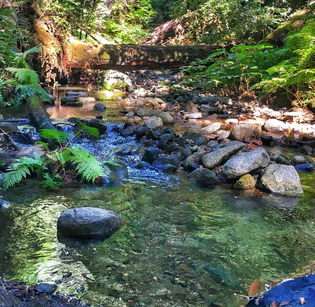 Fall Creek Unit, Henry Cowell Redwoods State Park | 1561 Felton Empire Rd, Felton, CA 95018, USA | Phone: (831) 335-4598