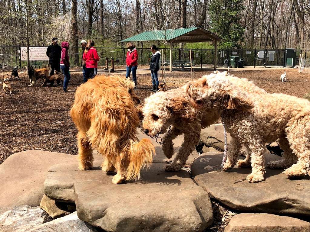 Cabin John Dog Park | Bethesda, MD 20817, USA | Phone: (301) 495-2595