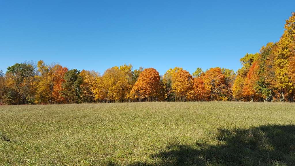 Gurski Farm Open Space | Brookfield, CT 06804, USA