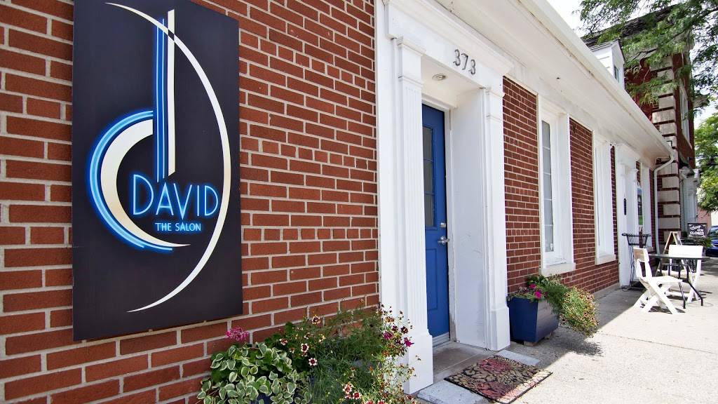 David the Salon | 373 Fisher Rd, Grosse Pointe, MI 48230, USA | Phone: (313) 886-3990